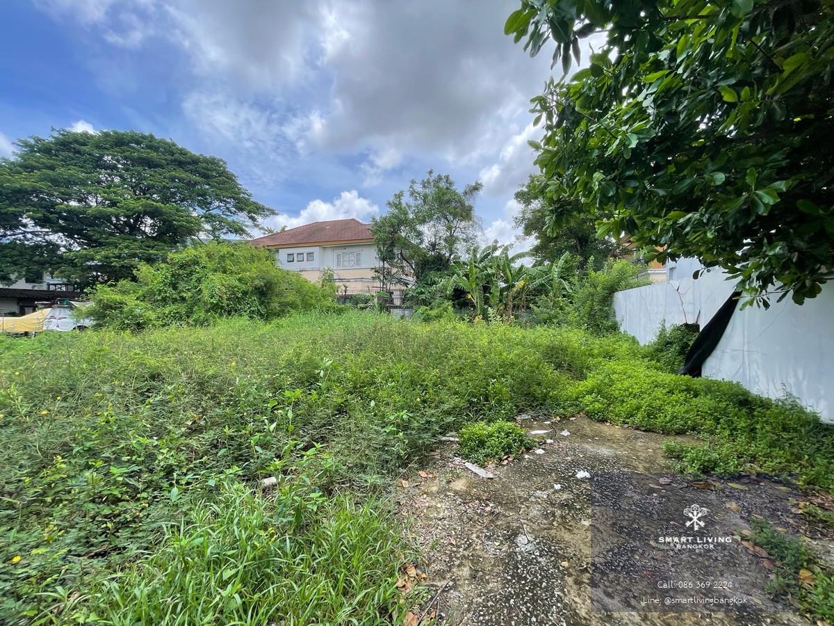 ขายที่ดิน พัฒนาการ ขนาด 191 ตร.ว ทำเลที่อยู่อาศัยศักยภาพ ใกล้ศรีนครินทร์–อ่อนนุช