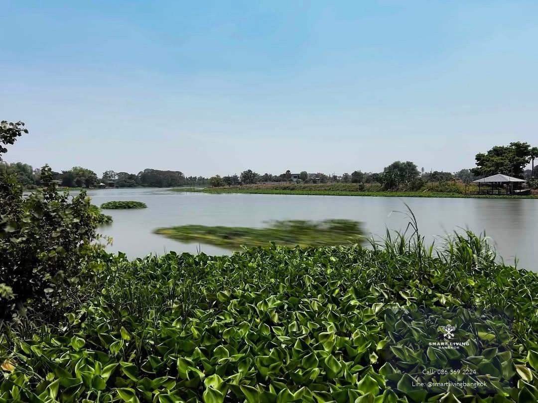 ขายที่ดินริมน้ำนครชัยศรี บางเลน วิวคุ้งน้ำสวย เหมาะสร้างบ้านหรือคาเฟ่ริมน้ำ