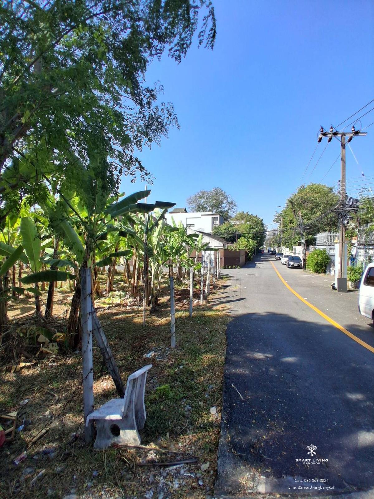 🏡 Rare Land Opportunity in Prime Sukhumvit Area – Ideal for Investment or Development