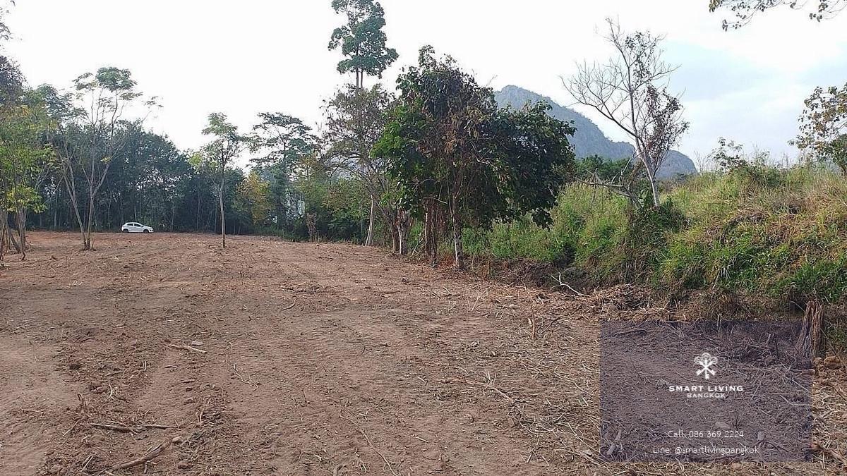ขายที่ดินเขาใหญ่ ติดถนนธนะรัชต์ ขนาด 649 ตารางวา หลังติดลำธาร วิวเขา โฉนดครุฑแดง ใกล้อุทยานแห่งชาติเขาใหญ่