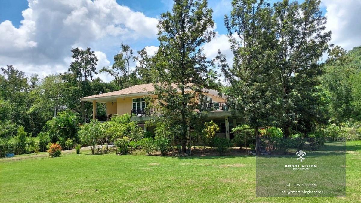 ขายบ้านเดี่ยว 6 ห้องนอน วิวภูเขา เขาใหญ่ ที่ดินขนาดใหญ่ 323 ตารางวา ใกล้อุทยานแห่งชาติเขาใหญ่