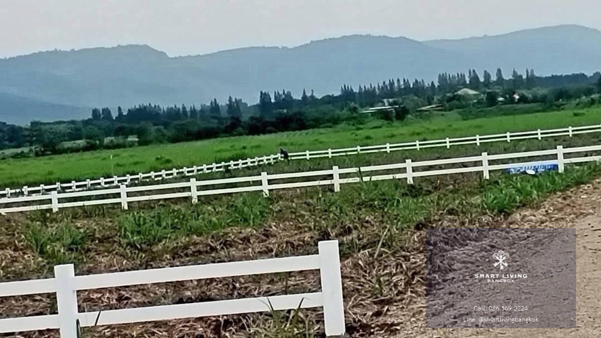 ราคาดีที่หายาก  ที่ถมแล้ว วิวเขาใหญ่  ใกล้แหล่งชุมชน อากาศดีตลอดปี