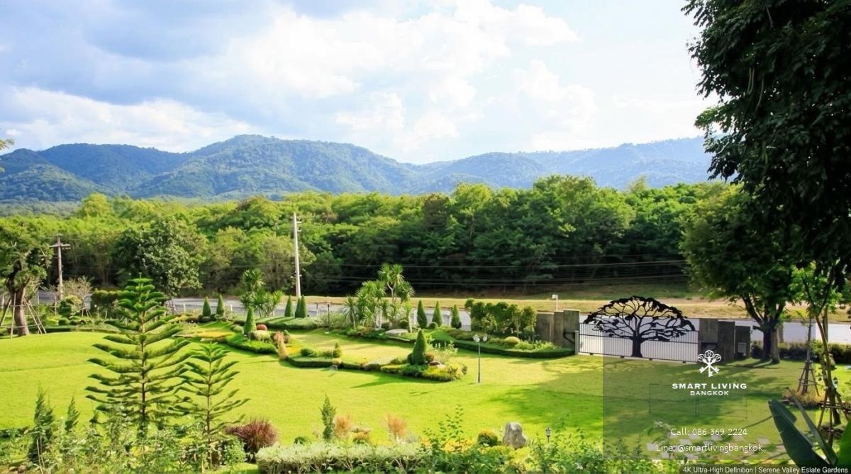 ขายรีสอร์ทเขาใหญ่ หมูสี พร้อมบ้านพัก คาเฟ่ ร้านอาหาร สระว่ายน้ำ และพื้นที่จัดงาน เหมาะสำหรับลงทุนธุรกิจท่องเที่ยว