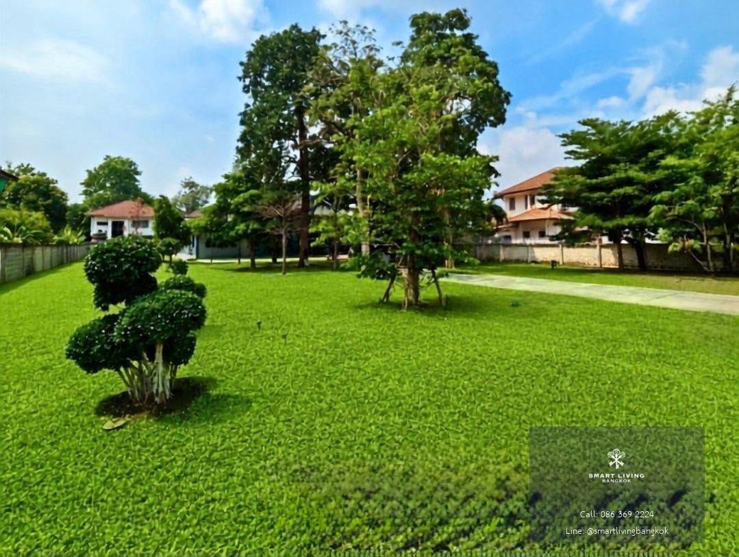 ขายที่ดินผืนใหญ่ งามวงศ์วาน 595 ตร.ว. ขายในราคาที่ดิน พร้อมบ้านเดี่ยว 500 ตร.ม.