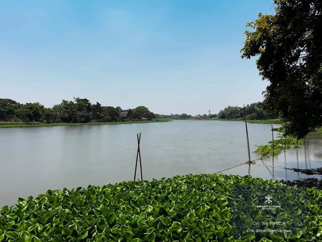 ขายที่ดินริมน้ำนครชัยศรี บางเลน วิวคุ้งน้ำสวย เหมาะสร้างบ้านหรือคาเฟ่ริมน้ำ