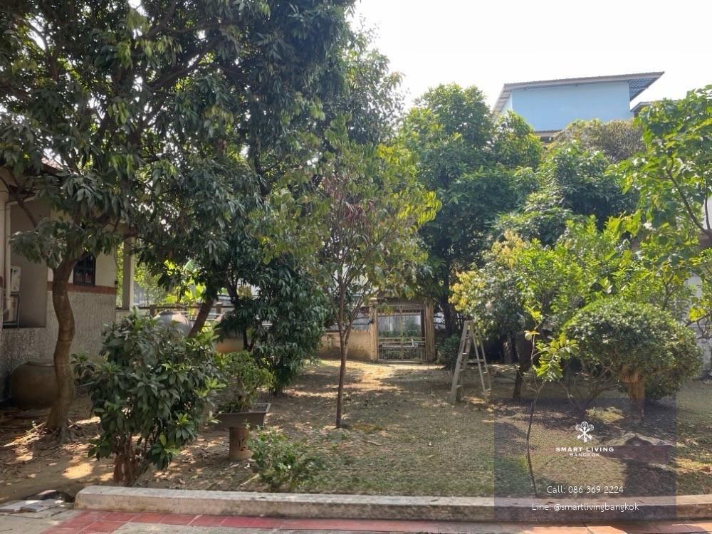 ขายที่ดินกัลปพฤกษ์ ใกล้วงแหวนกาญจนาภิเษก พร้อมอาคารเดิม 2 หลัง ผังเมือง ย.8 เหมาะลงทุนและพัฒนาธุรกิจ