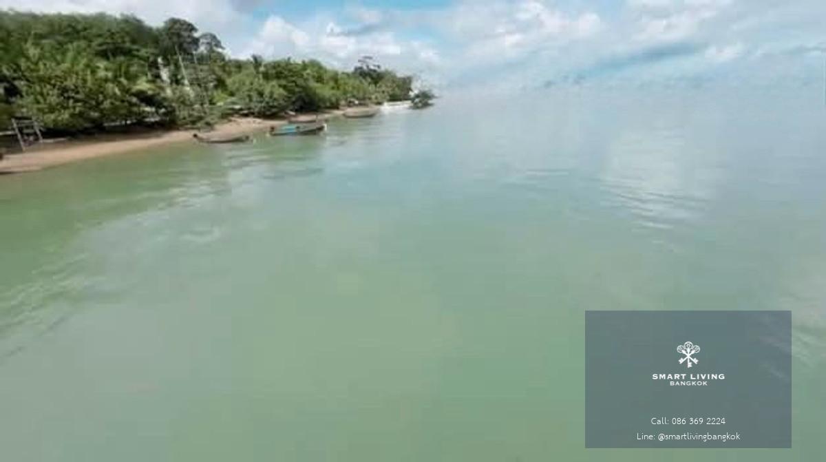 ขายที่ดินซีวิว ภูเก็ต ฝั่งตะวันออก ติดทะเลอันดามัน เหมาะพัฒนาโครงการวิลล่าหรูหรือรีสอร์ท