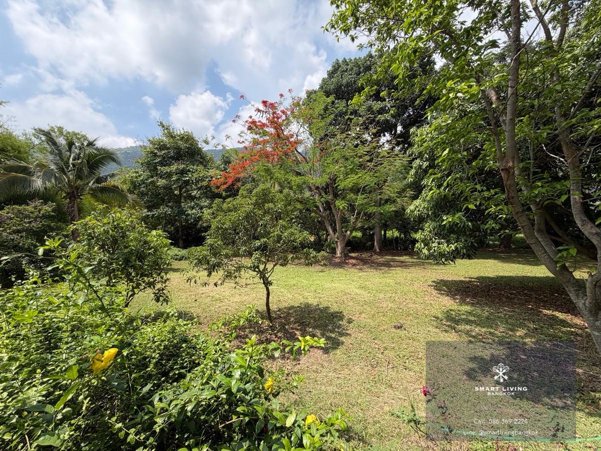 ขายบ้านสวน ปากช่องกลางดง ใกล้เขาใหญ่ ที่ดินขนาดใหญ่ 1 ไร่ 41 ตร.ว. เหมาะสำหรับบ้านพักตากอากาศ