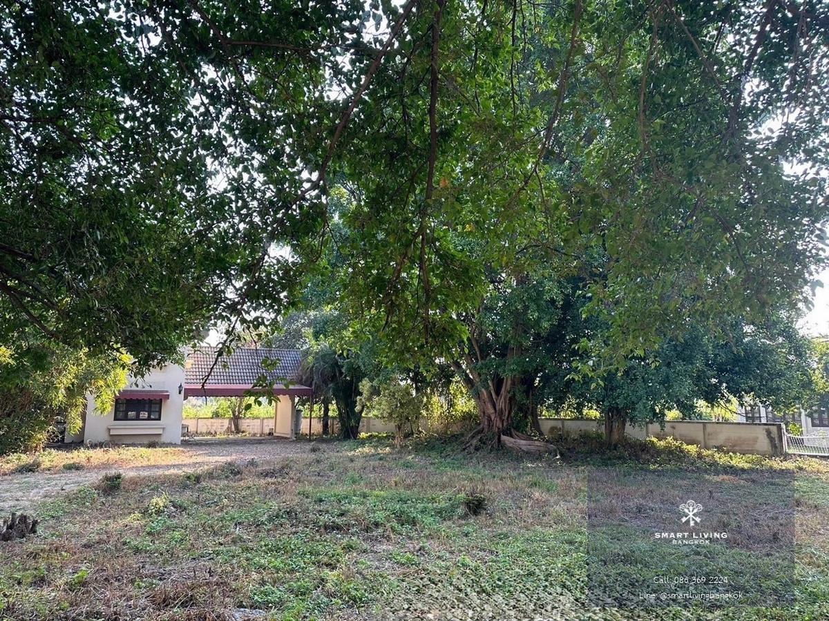 ขายที่ดินพร้อมสิ่งปลูกสร้าง 1 ไร่ ถนนมหิดล ใกล้สนามบินเชียงใหม่ ผังเมืองสีส้ม เหมาะลงทุนและพัฒนา