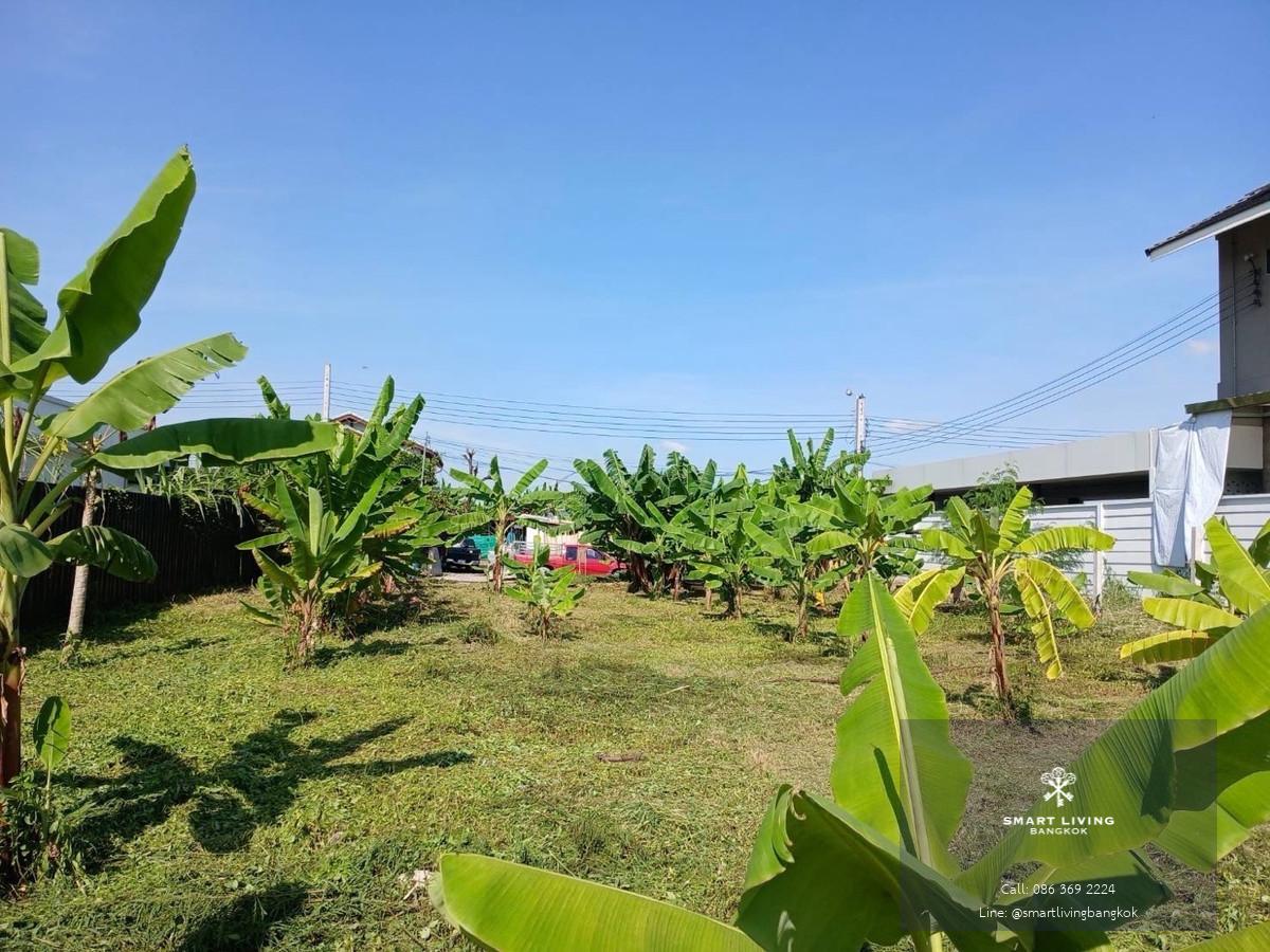 ขายที่ดิน พัฒนาการ ขนาด 191 ตร.ว ทำเลที่อยู่อาศัยศักยภาพ ใกล้ศรีนครินทร์–อ่อนนุช