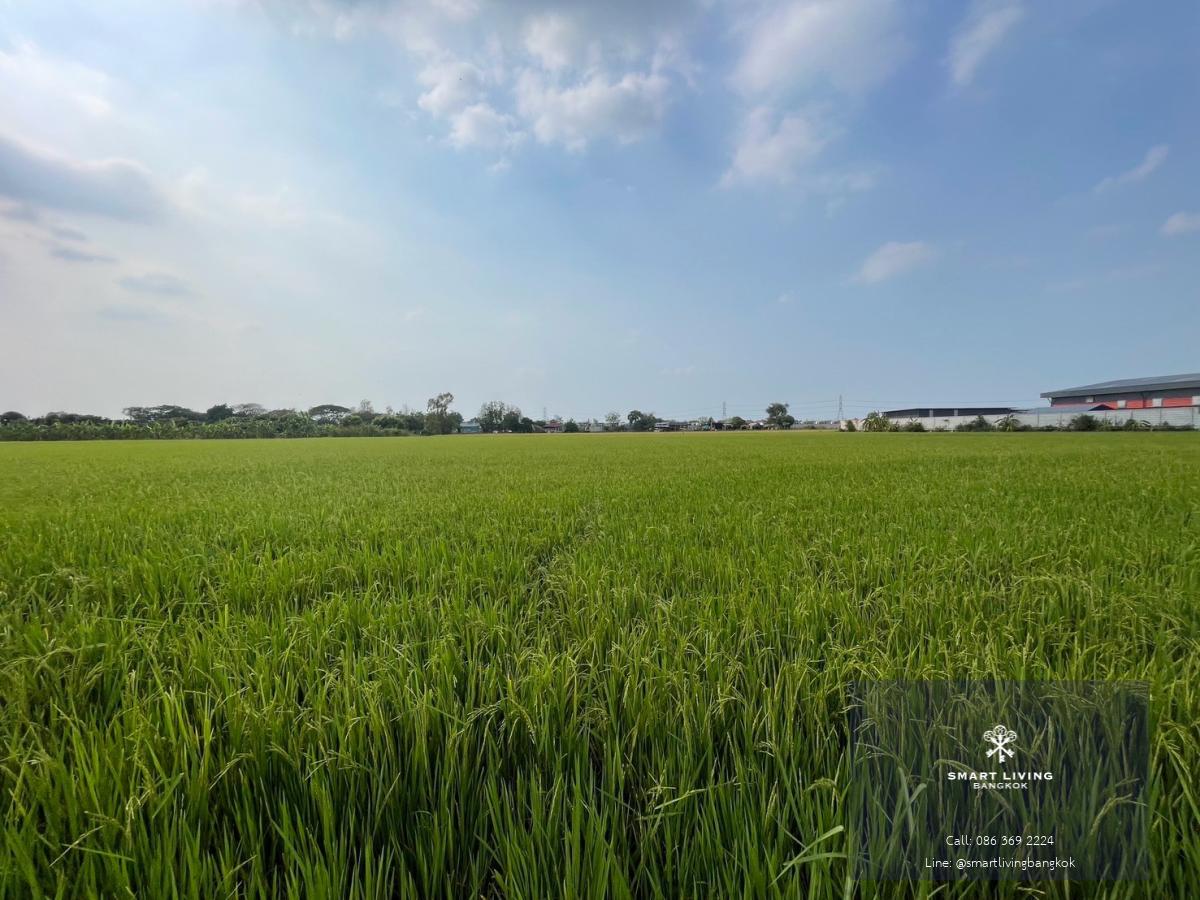 ที่ดินปากเกร็ด นนทบุรี แปลงใหญ่ผังสีเขียวเหลือง ทำเลศักยภาพ แบ่งขายได้ สำหรับผู้ที่มองหาที่ดินเพื่อการลงทุนหรือพัฒนา ที่อยู่อาศัย โกดัง โรงงาน ร้านอาหาร คาเฟ่ หรือกิจการอื่น