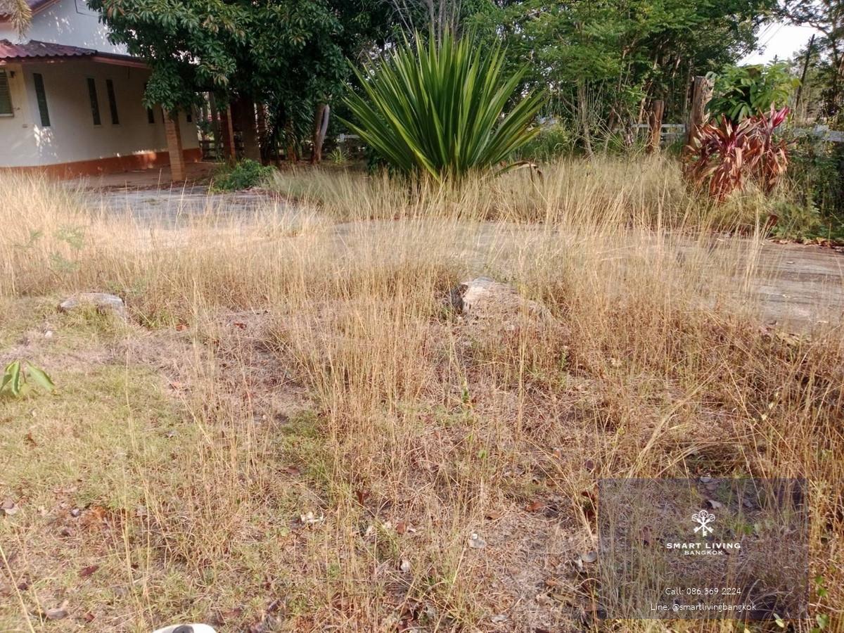 ขายที่ดินพร้อมสิ่งปลูกสร้าง 300 ตารางวา ทำเลหมูสี เขาใหญ่ ใกล้ Chateau de Khaoyai และคาเฟ่ชื่อดังในโซนเขาใหญ่ เหมาะทำบ้านพักต่างอากาศ