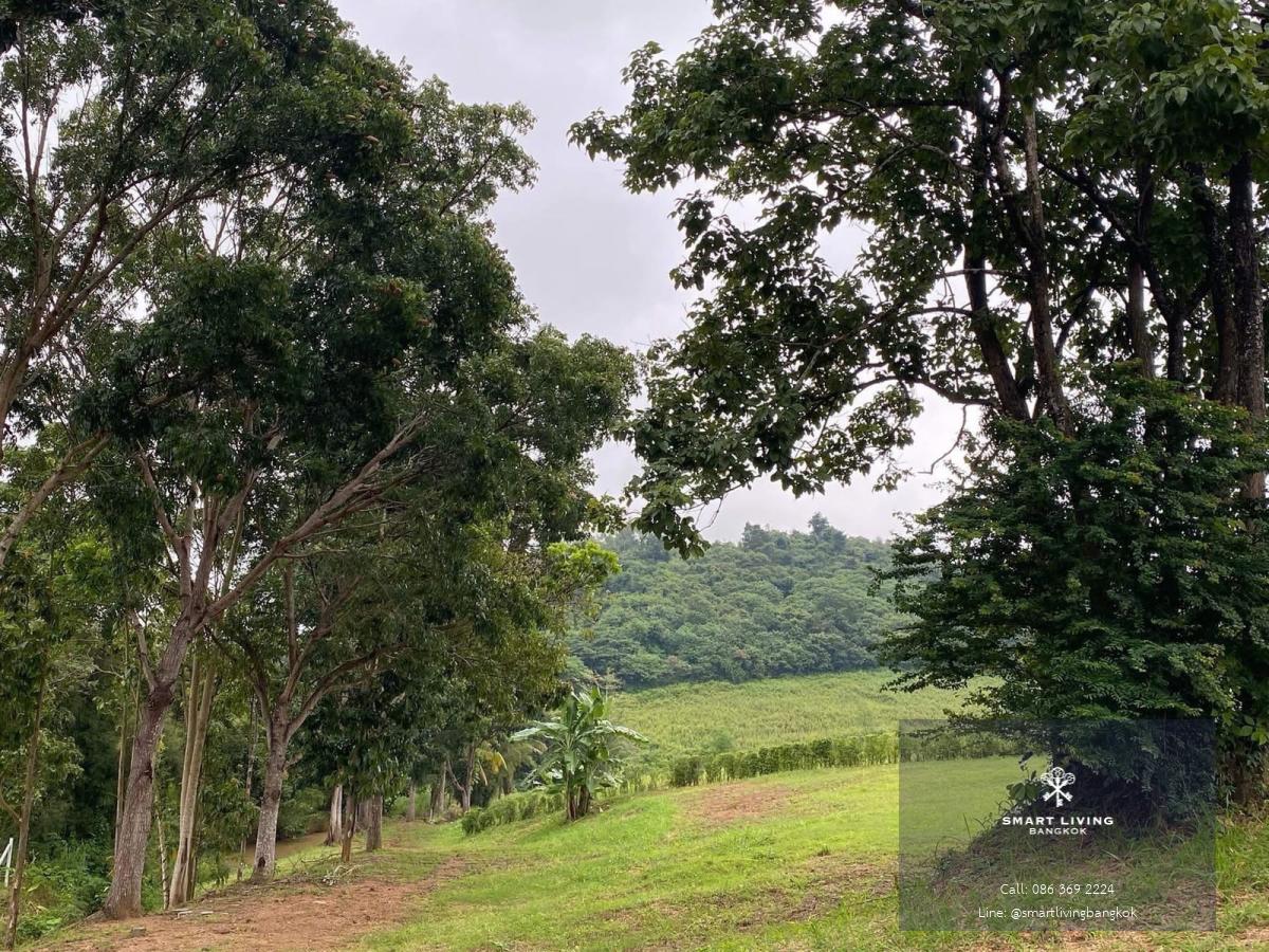 ที่ดินเขาใหญ่ขาย ย่านวังกะทะ แปลงใหญ่ติดน้ำบนเนินเขา วิวลำธารและน้ำตก สำหรับบ้านพักตากอากาศส่วนตัว