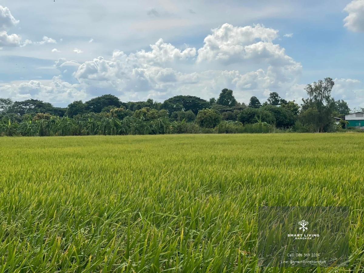 ที่ดินปากเกร็ด นนทบุรี แปลงใหญ่ผังสีเขียวเหลือง ทำเลศักยภาพ แบ่งขายได้ สำหรับผู้ที่มองหาที่ดินเพื่อการลงทุนหรือพัฒนา ที่อยู่อาศัย โกดัง โรงงาน ร้านอาหาร คาเฟ่ หรือกิจการอื่น