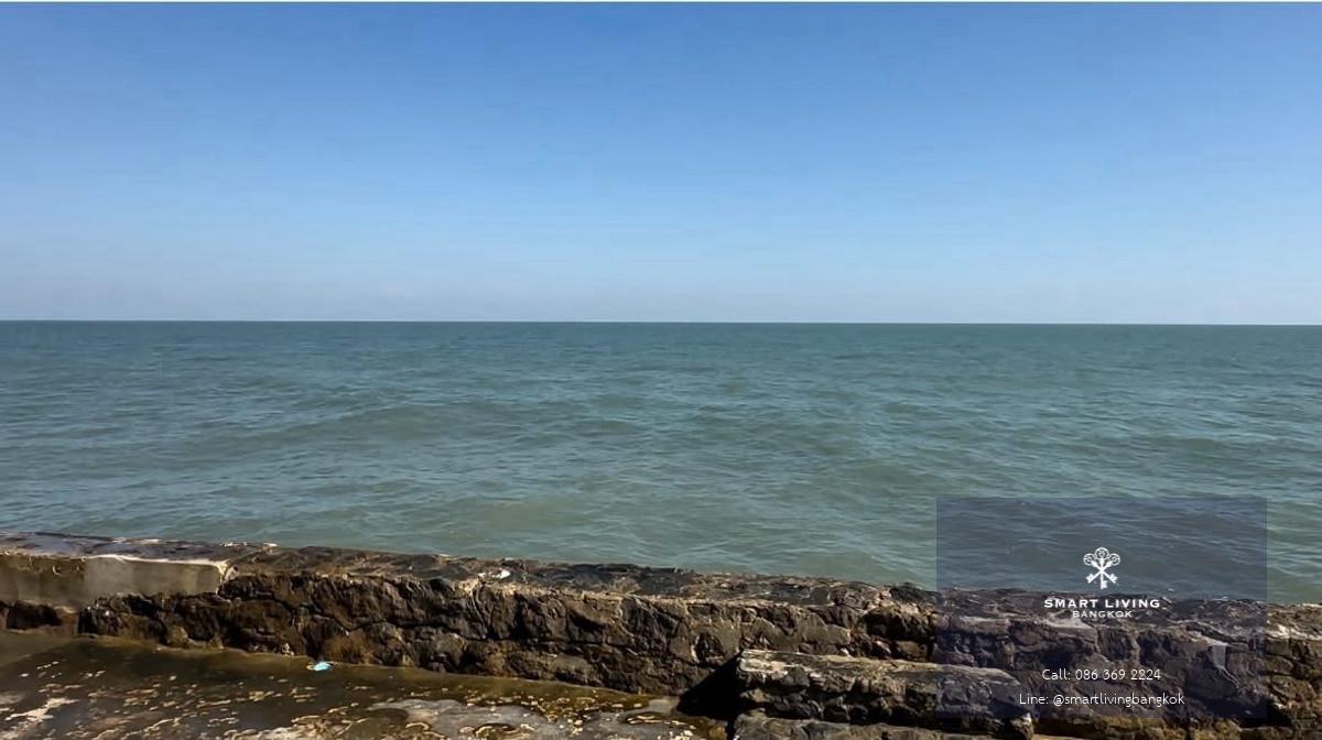 ขายที่ดินริมทะเล โซนแหลมผักเบี้ย เพชรบุรี 209 ตารางวา ห่างทะเล 50 เมตร เหมาะสร้างบ้านพักตากอากาศและลงทุน