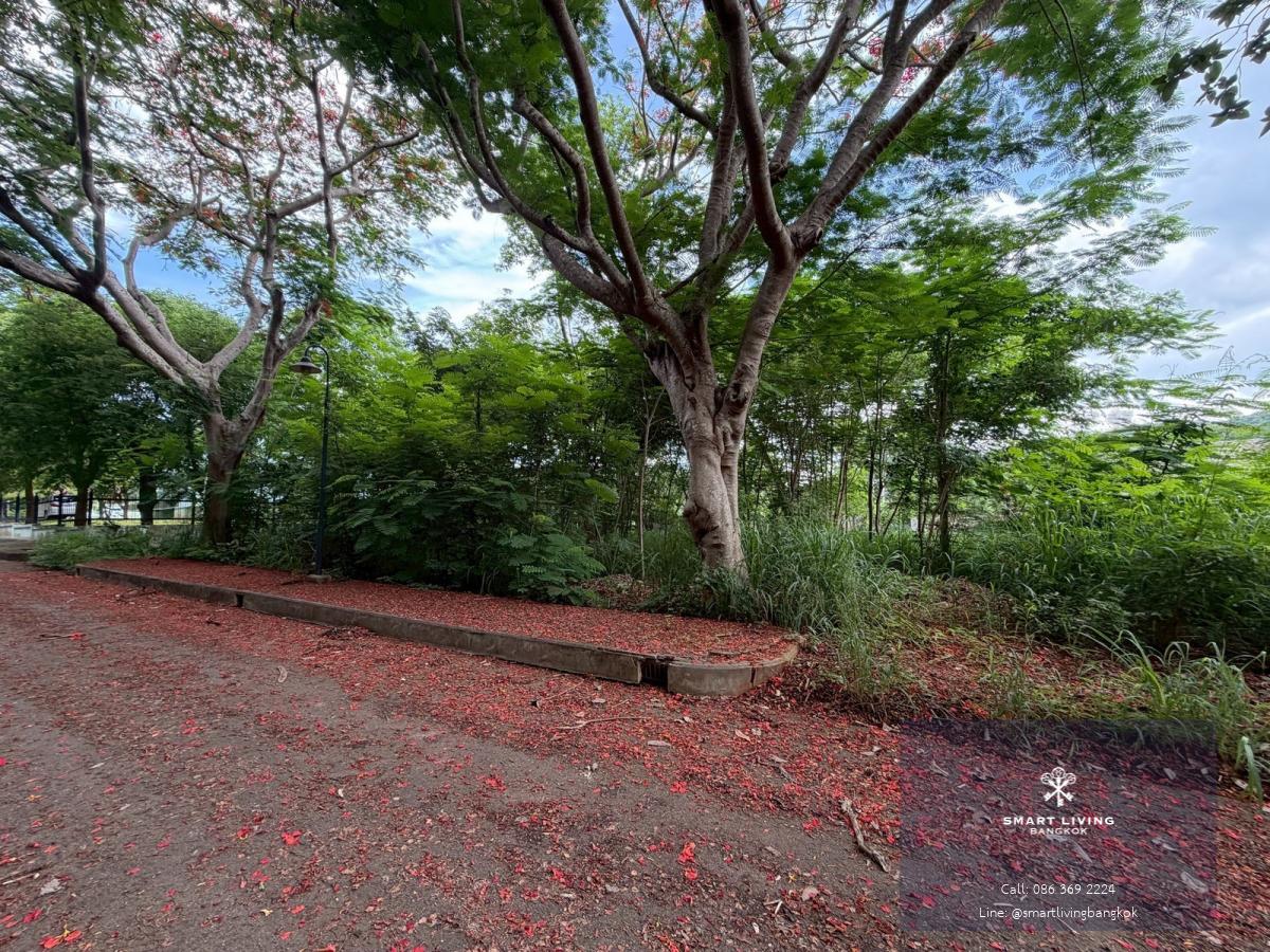 ขายที่ดิน หมูสี เขาใหญ่ วิวเขา ใกล้ถนนหลัก ไม่ลึก ใกล้แหล่งท่องเที่ยว เหมาะสร้างบ้านพัก พูลวิลล่า