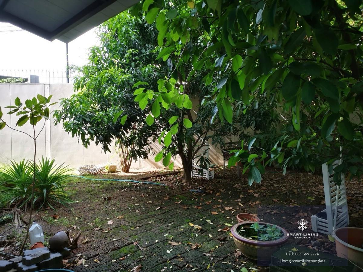 ขายบ้านเดี่ยว The Plant Elite พัฒนาการ บ้านครอบครัวขนาดใหญ่ ใกล้ถนนสุขุมวิท