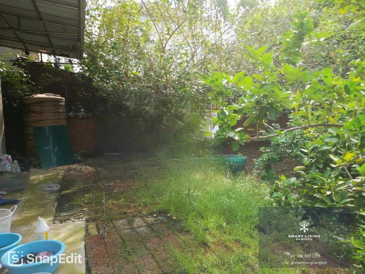 ขายบ้านเดี่ยว The Plant Elite พัฒนาการ บ้านครอบครัวขนาดใหญ่ ใกล้ถนนสุขุมวิท