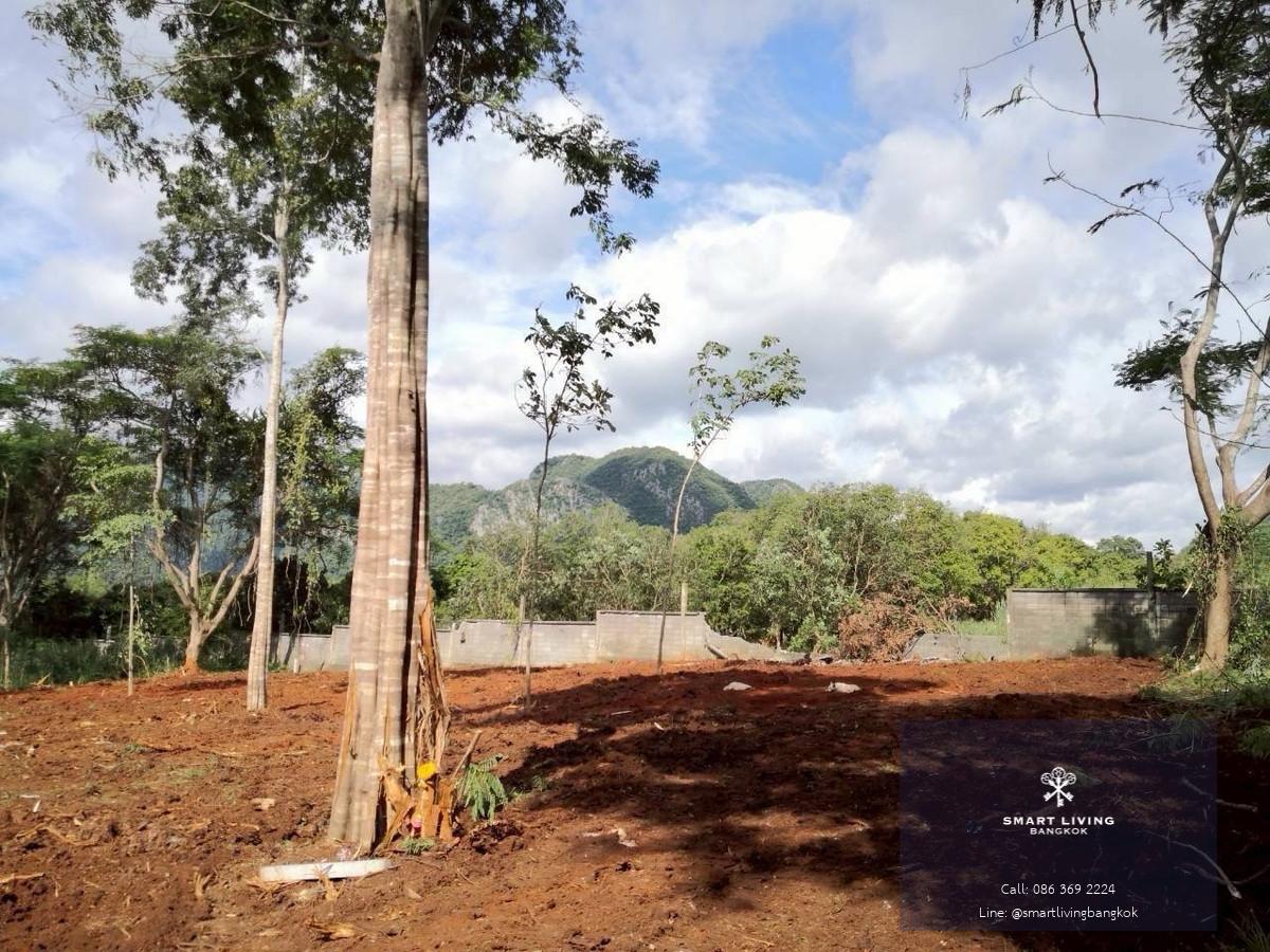 ขายที่ดินเขาใหญ่ ติดถนนธนะรัชต์ โฉนดครุฑแดง แปลงสี่เหลี่ยม วิวเขา 3 ด้าน