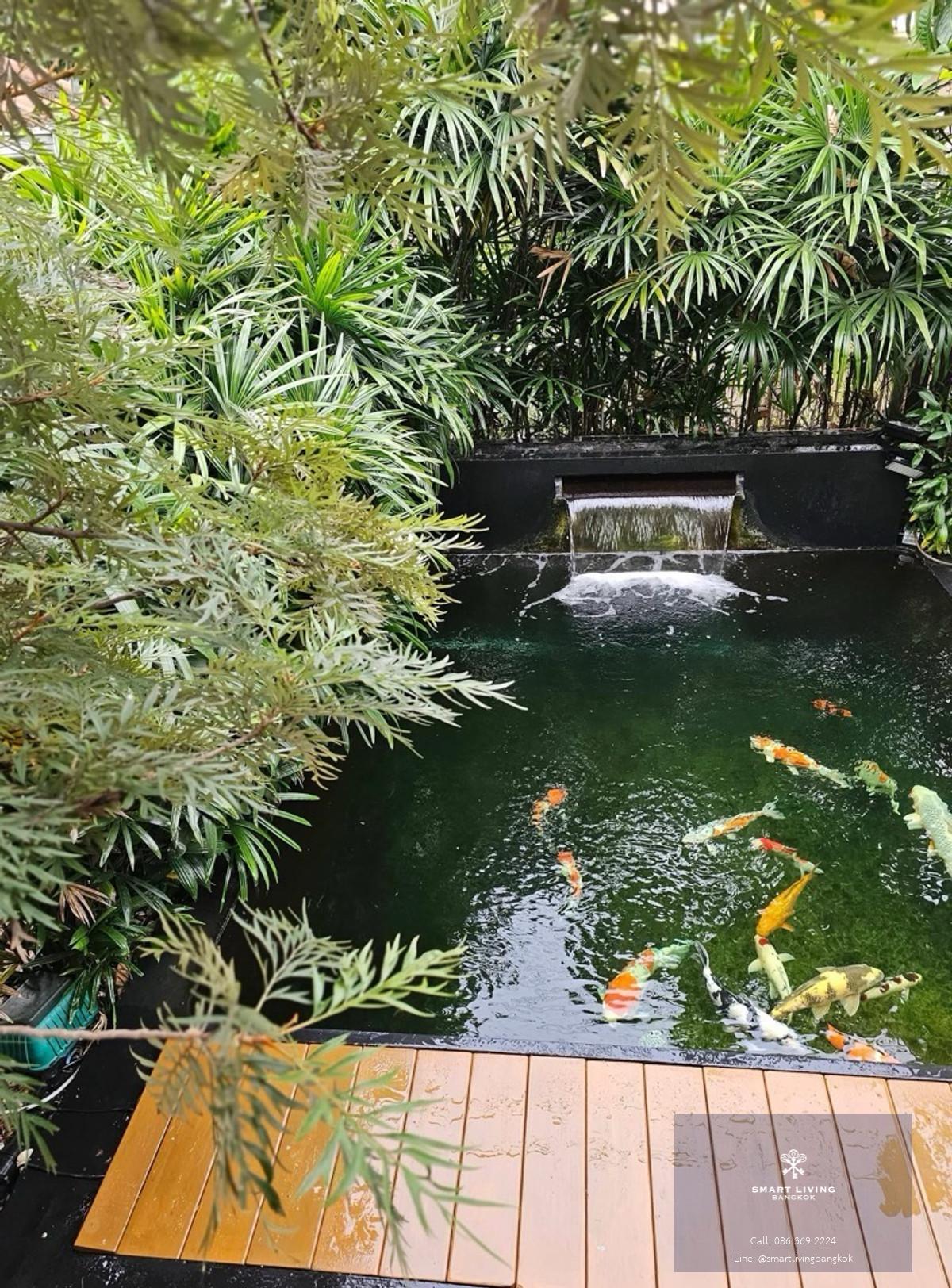 🔥 ขายด่วน บ้านเดี่ยว | 5 ห้องนอน | ใกล้ BTS สายหยุด & รถไฟฟ้าสีชมพู | ทำเลอนาคต | ราคาคุ้ม