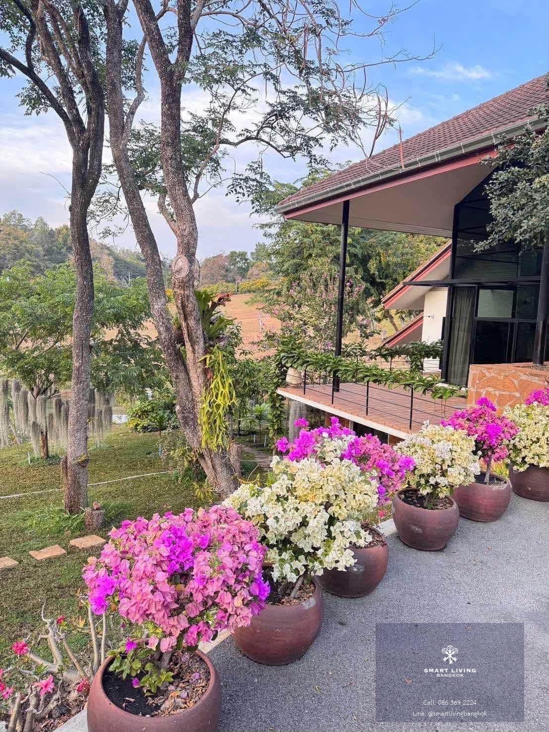 ขายบ้านหรูเขาใหญ่ 45 ล้านบาท ที่ดิน 1,800 ตารางวา ทำเลสงบเป็นส่วนตัว เหมาะสำหรับพักผ่อนท่ามกลางธรรมชาติ