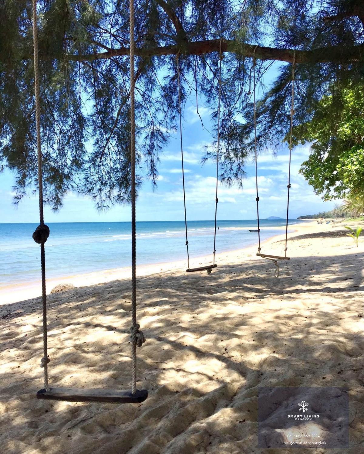 ที่ดินติดทะเลหาดแหลมกุ่ม ทับสะแก ประจวบคีรีขันธ์ หาดสวย น้ำใส หน้าหาดกว้าง 30 เมตร ไม่มีถนนคั่น