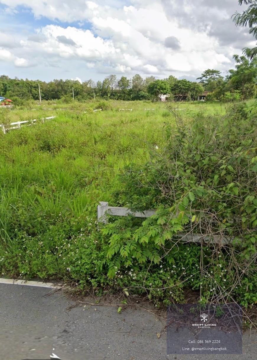 ขายที่ดิน 1 ไร่ วิวภูเขา คลองม่วง เขาใหญ่ ราคา 2.5 ล้านบาท เหมาะสร้างบ้านพักตากอากาศและลงทุน