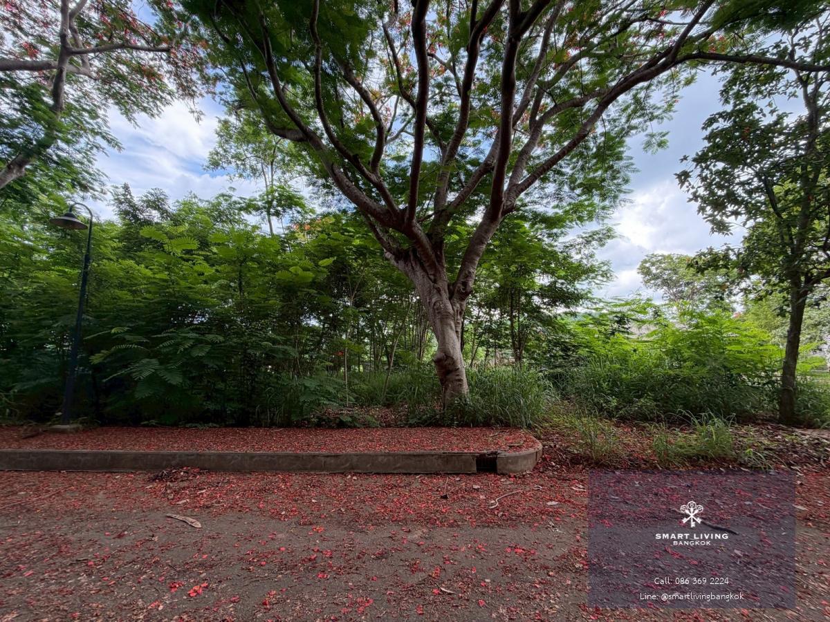 ขายที่ดิน หมูสี เขาใหญ่ วิวเขา ใกล้ถนนหลัก ไม่ลึก ใกล้แหล่งท่องเที่ยว เหมาะสร้างบ้านพัก พูลวิลล่า