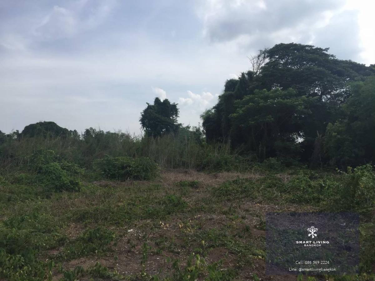 ขายที่ดินริมแม่น้ำน้อย อยุธยา ผืนใหญ่ 1,300 ตร.ว. เหมาะสร้างบ้านพักตากอากาศและรีสอร์ต