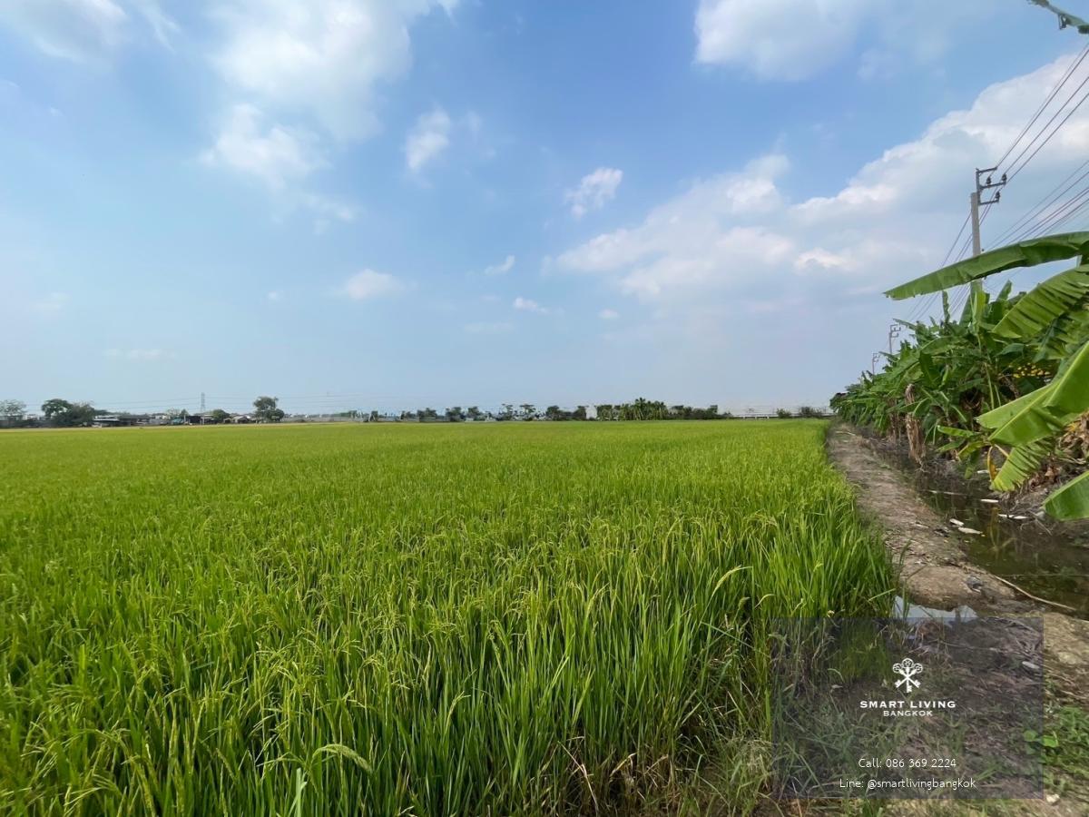 ที่ดินปากเกร็ด นนทบุรี แปลงใหญ่ผังสีเขียวเหลือง ทำเลศักยภาพ แบ่งขายได้ สำหรับผู้ที่มองหาที่ดินเพื่อการลงทุนหรือพัฒนา ที่อยู่อาศัย โกดัง โรงงาน ร้านอาหาร คาเฟ่ หรือกิจการอื่น