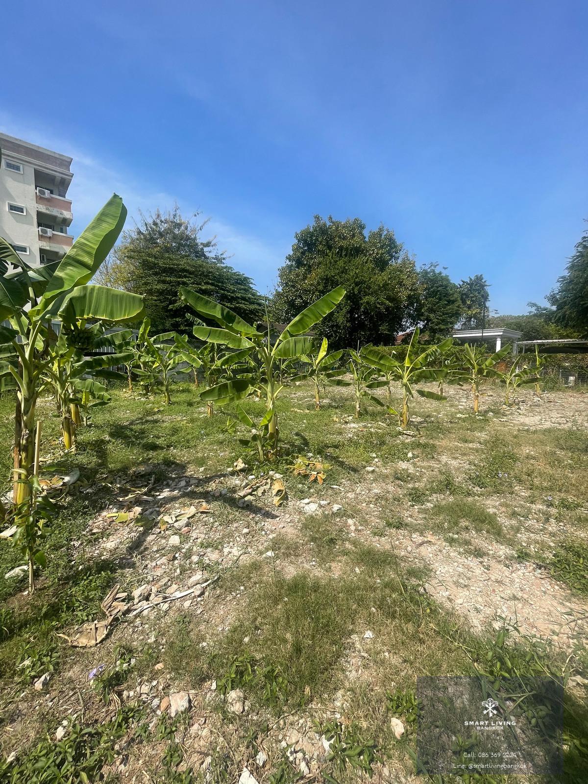 ♨️ขายที่ดินทำเลเลิศ | 100 ตร.ว. | นครนิวาส | ลาดพร้าว | ถมเสมอพร้อมสร้าง | ทำเลลงทุน | ใกล้ MRT หลายสาย | ใกล้เซ็นทรัล อีสต์วิลล์