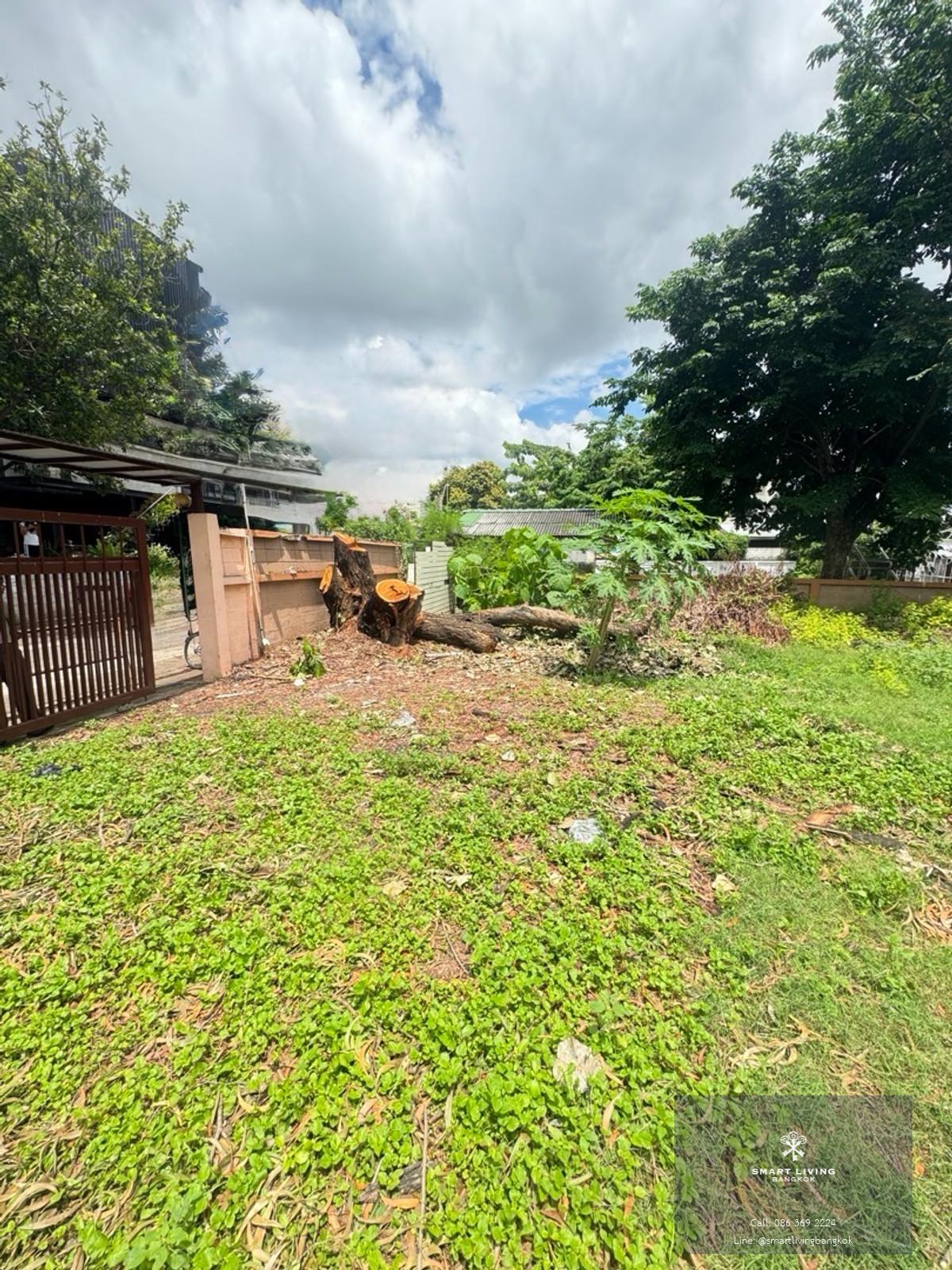 ขายที่ดิน 200 ตร.ว. Town in Town ลาดพร้าว เหมาะสร้างบ้านหรือ Home Office