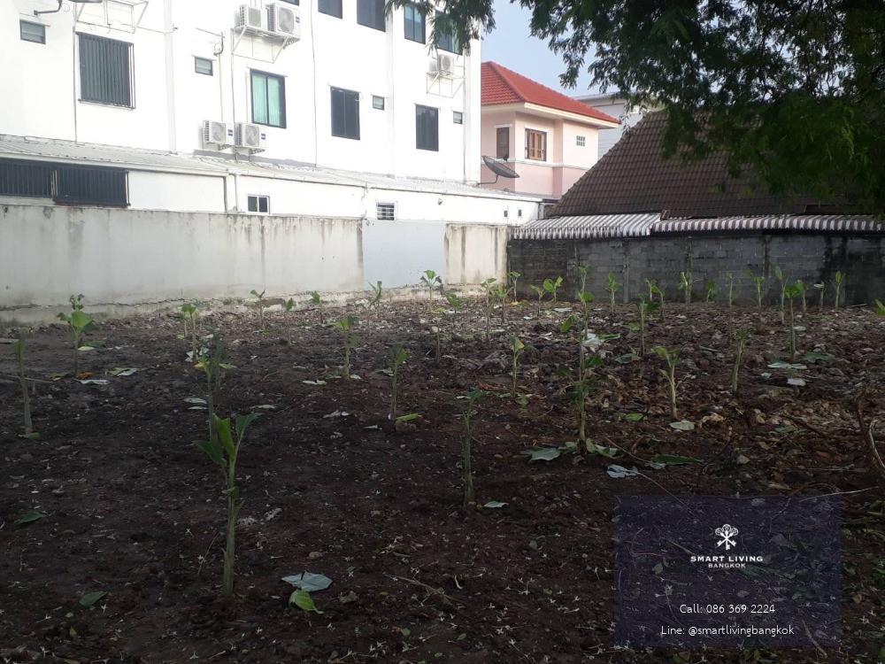 ขายที่ดิน ซอยวชิรธรรมสาธิต 51 ซอยทะลุเซนทรัลบางนา 5นาทีถึง 120 ตร.ว. แบ่ง 2 แปลงเรียบร้อย เหมาะสร้างบ้าน/โฮมออฟฟิศ