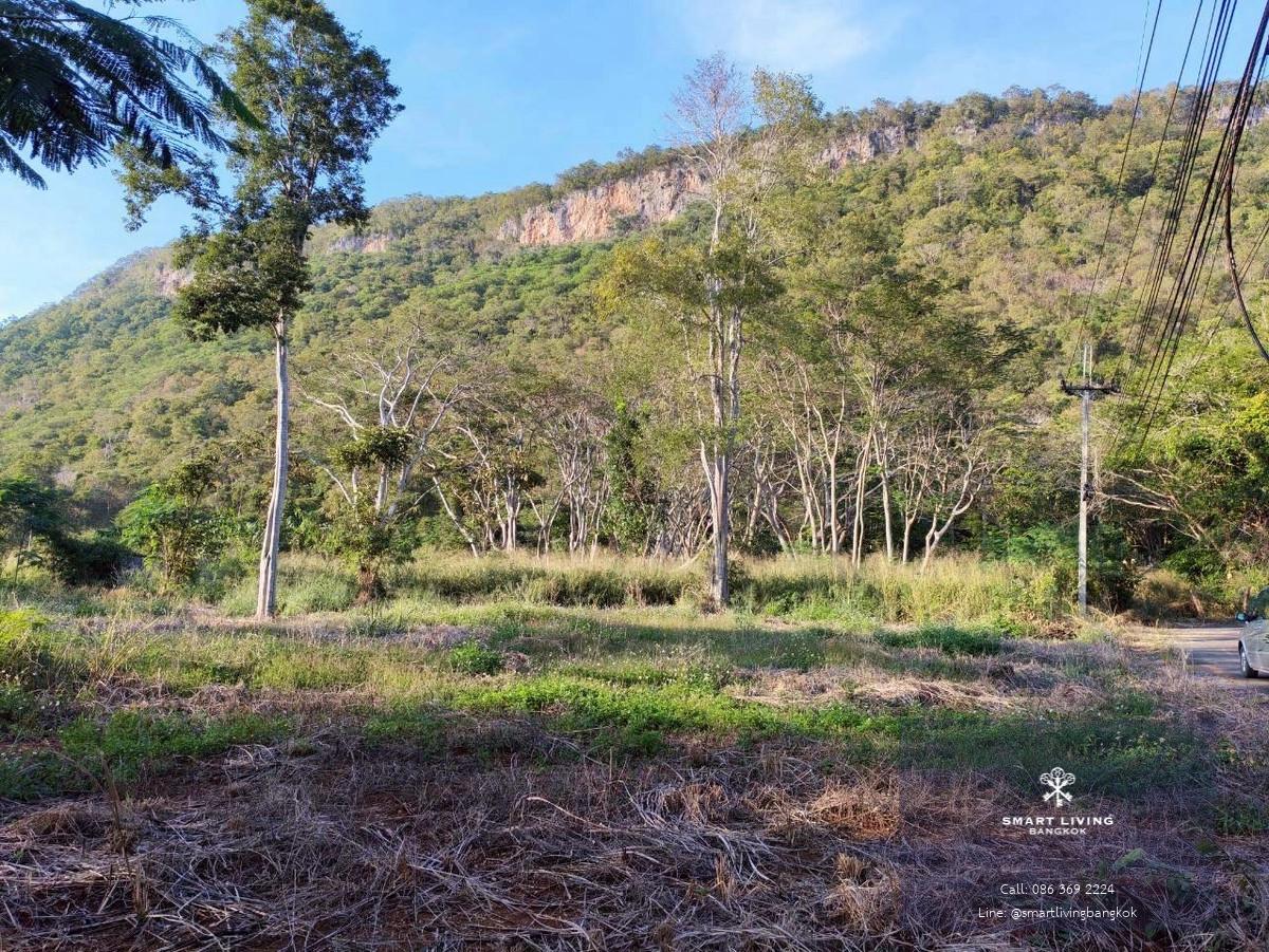 ขายที่ดินเขาใหญ่ ติดถนนธนะรัชต์ โฉนดครุฑแดง แปลงสี่เหลี่ยม วิวเขา 3 ด้าน