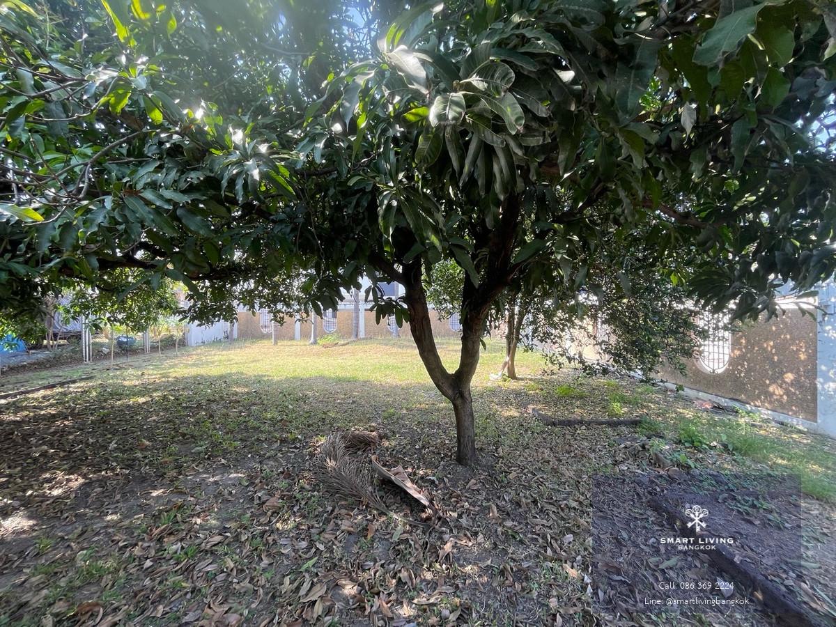 ให้เช่าที่ดินอารีย์ ใกล้ BTS อารีย์ ทำเลเชิงพาณิชย์หายาก รองรับทุกประเภทธุรกิจ