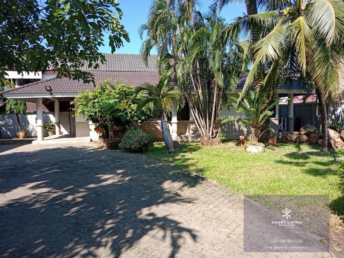 🔥 บ้านเดี่ยวชั้นเดียวให้เช่า ใกล้ ISB | บ้านหลังใหญ่ 760 ตร.ว. | แจ้งวัฒนะ | เหมาะครอบครัว