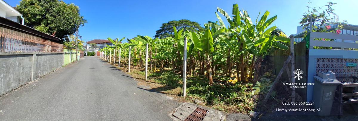 🏡 Rare Land Opportunity in Prime Sukhumvit Area – Ideal for Investment or Development