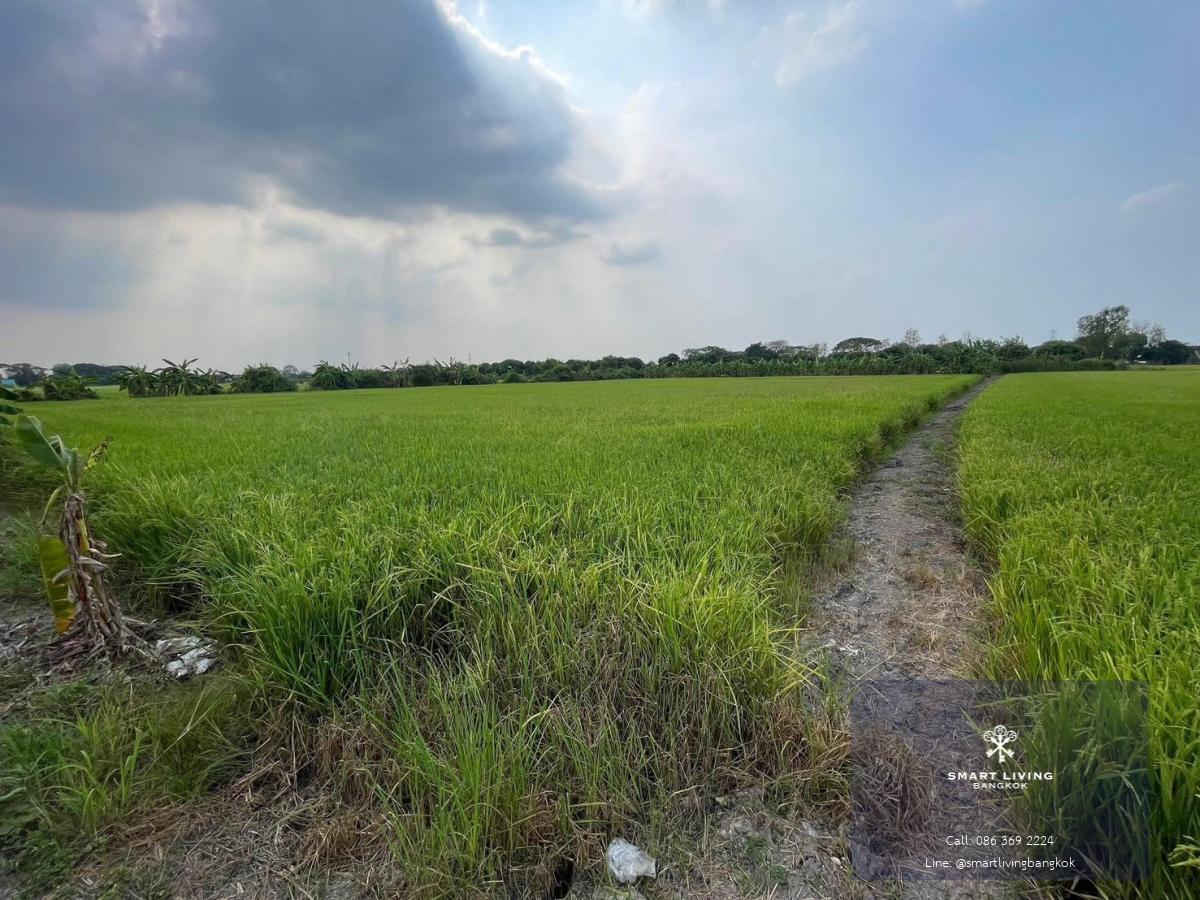 ที่ดินปากเกร็ด นนทบุรี แปลงใหญ่ผังสีเขียวเหลือง ทำเลศักยภาพ แบ่งขายได้ สำหรับผู้ที่มองหาที่ดินเพื่อการลงทุนหรือพัฒนา ที่อยู่อาศัย โกดัง โรงงาน ร้านอาหาร คาเฟ่ หรือกิจการอื่น