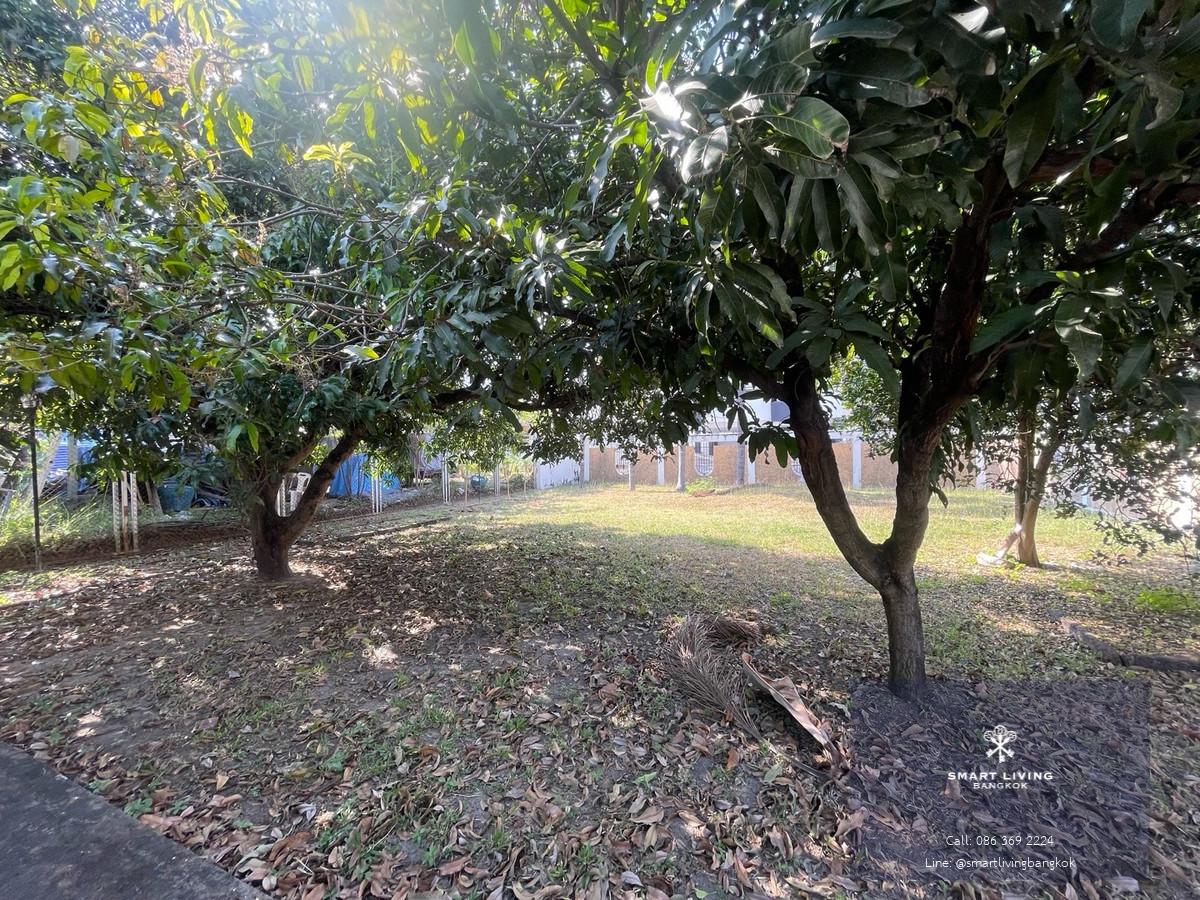 ให้เช่าที่ดินอารีย์ ใกล้ BTS อารีย์ ทำเลเชิงพาณิชย์หายาก รองรับทุกประเภทธุรกิจ