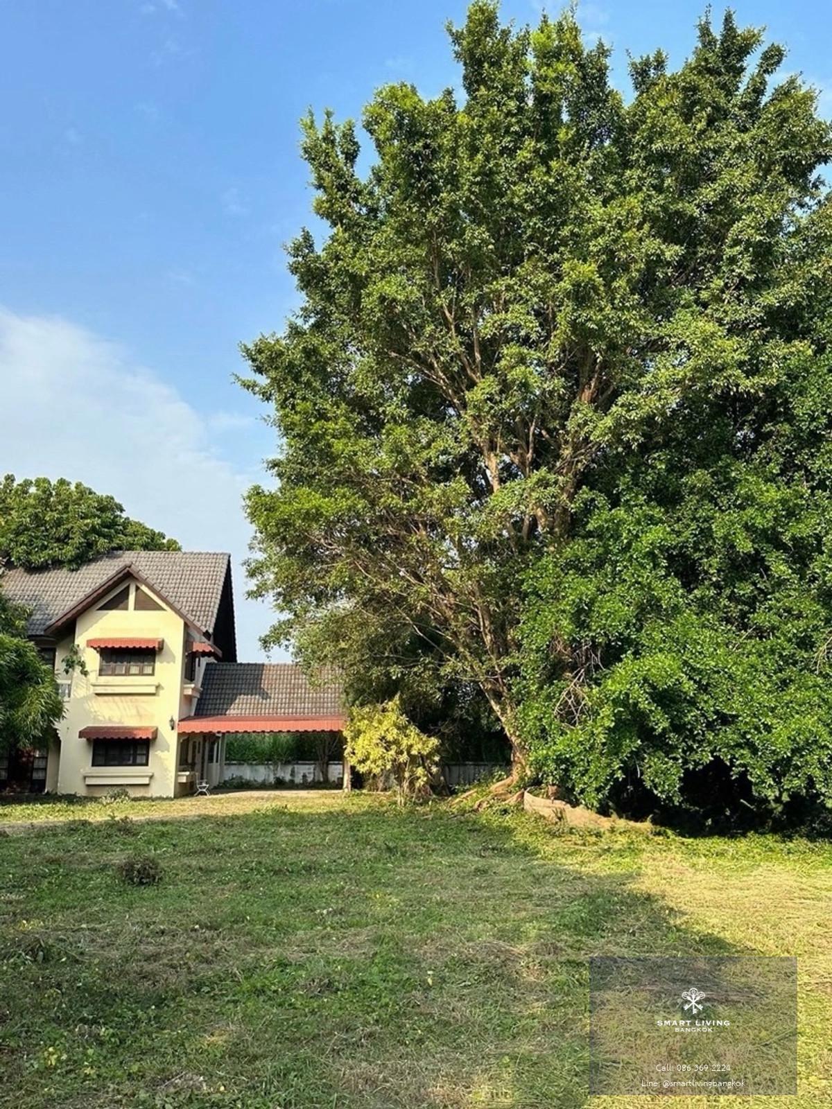 ขายที่ดินพร้อมสิ่งปลูกสร้าง 1 ไร่ ถนนมหิดล ใกล้สนามบินเชียงใหม่ ผังเมืองสีส้ม เหมาะลงทุนและพัฒนา