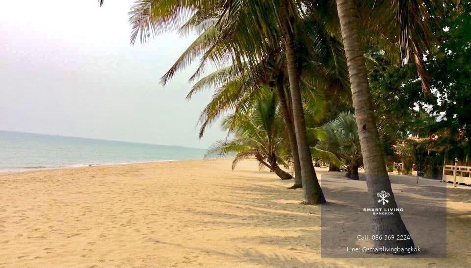ที่ดินติดทะเลหาดแหลมกุ่ม ทับสะแก ประจวบคีรีขันธ์ หาดสวย น้ำใส หน้าหาดกว้าง 30 เมตร ไม่มีถนนคั่น