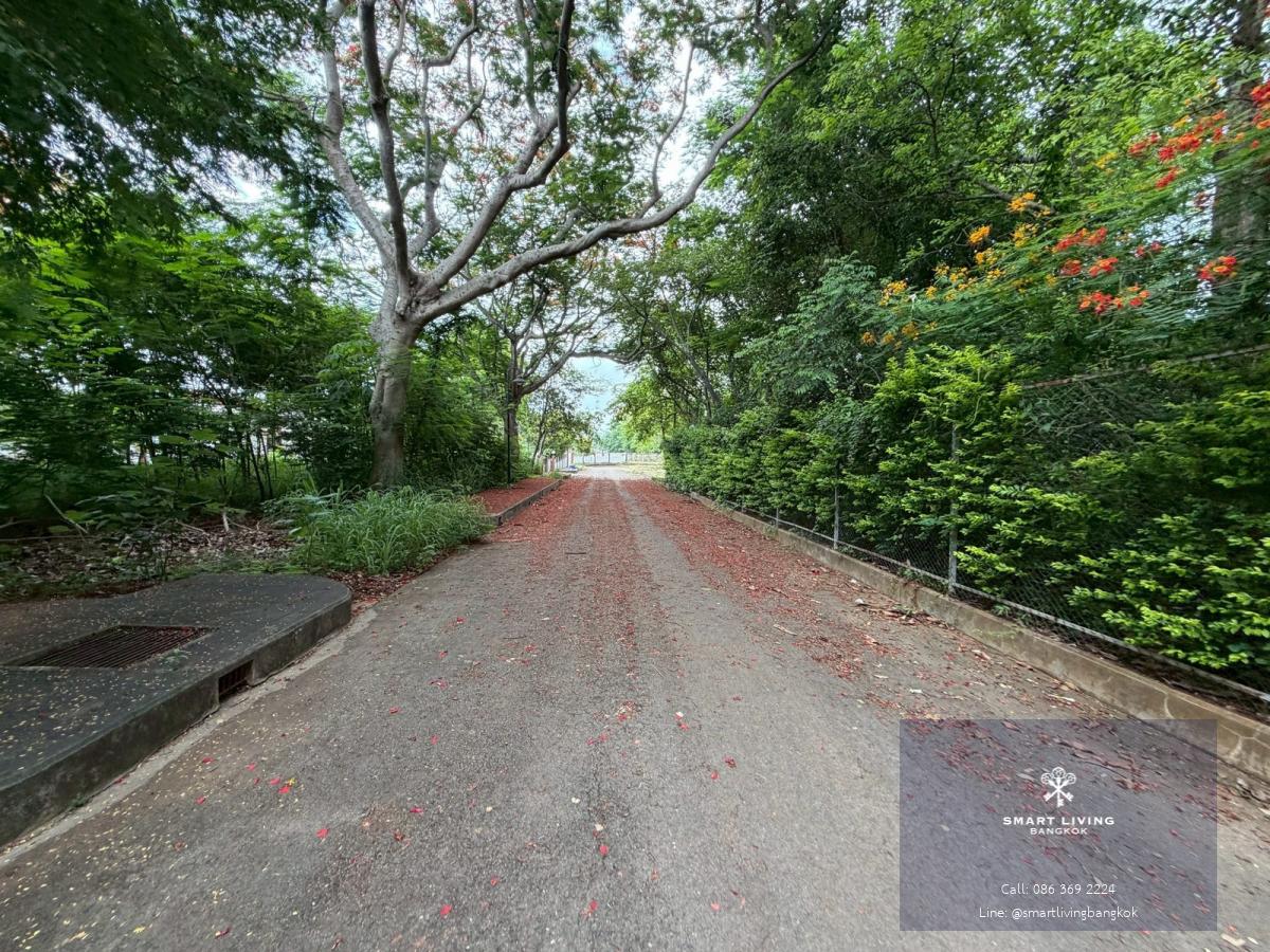 ขายที่ดิน หมูสี เขาใหญ่ วิวเขา ใกล้ถนนหลัก ไม่ลึก ใกล้แหล่งท่องเที่ยว เหมาะสร้างบ้านพัก พูลวิลล่า