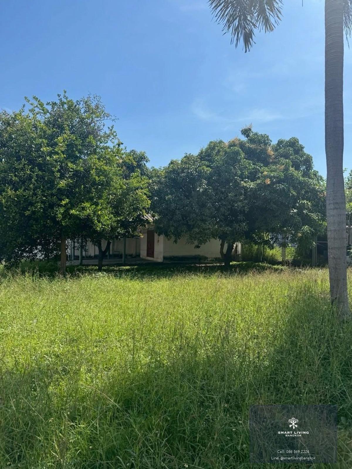 ให้เช่าที่ดินอารีย์ | 93 ตร.วา | ทุบรื้อได้ | เหมาะคาเฟ่–ร้านอาหาร–Home Office | ใกล้ BTS อารีย์