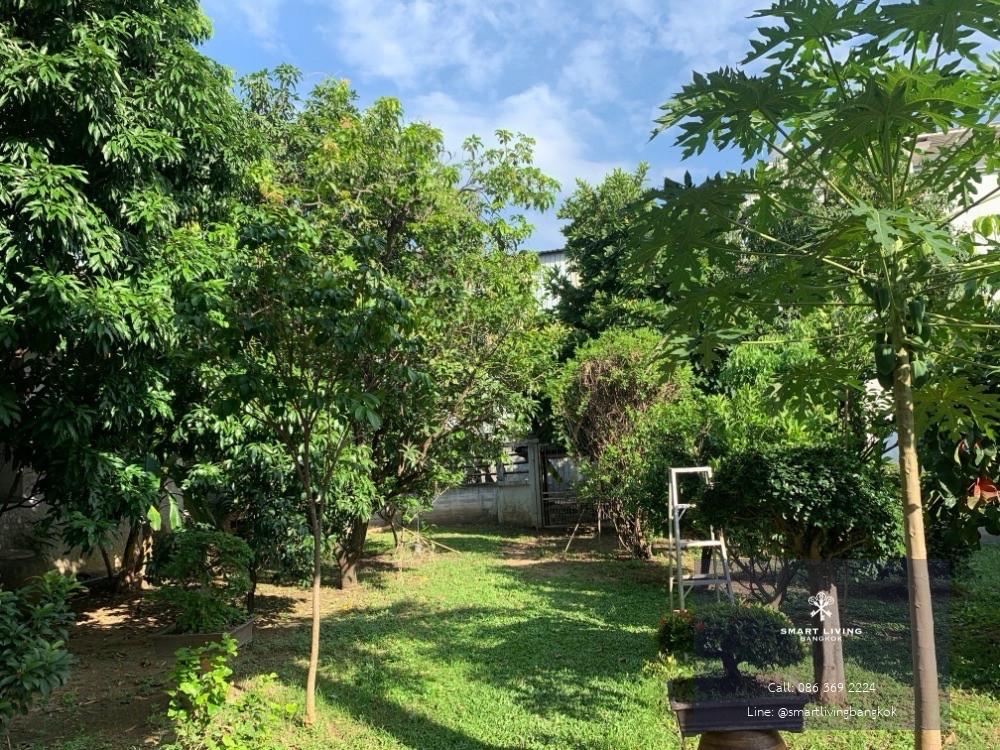 ขายที่ดินกัลปพฤกษ์ ใกล้วงแหวนกาญจนาภิเษก พร้อมอาคารเดิม 2 หลัง ผังเมือง ย.8 เหมาะลงทุนและพัฒนาธุรกิจ