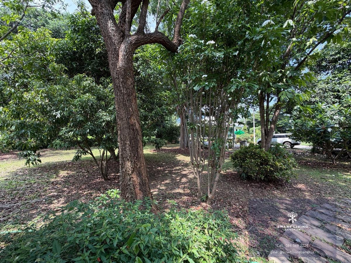 ขายบ้านสวน ปากช่องกลางดง ใกล้เขาใหญ่ ที่ดินขนาดใหญ่ 1 ไร่ 41 ตร.ว. เหมาะสำหรับบ้านพักตากอากาศ