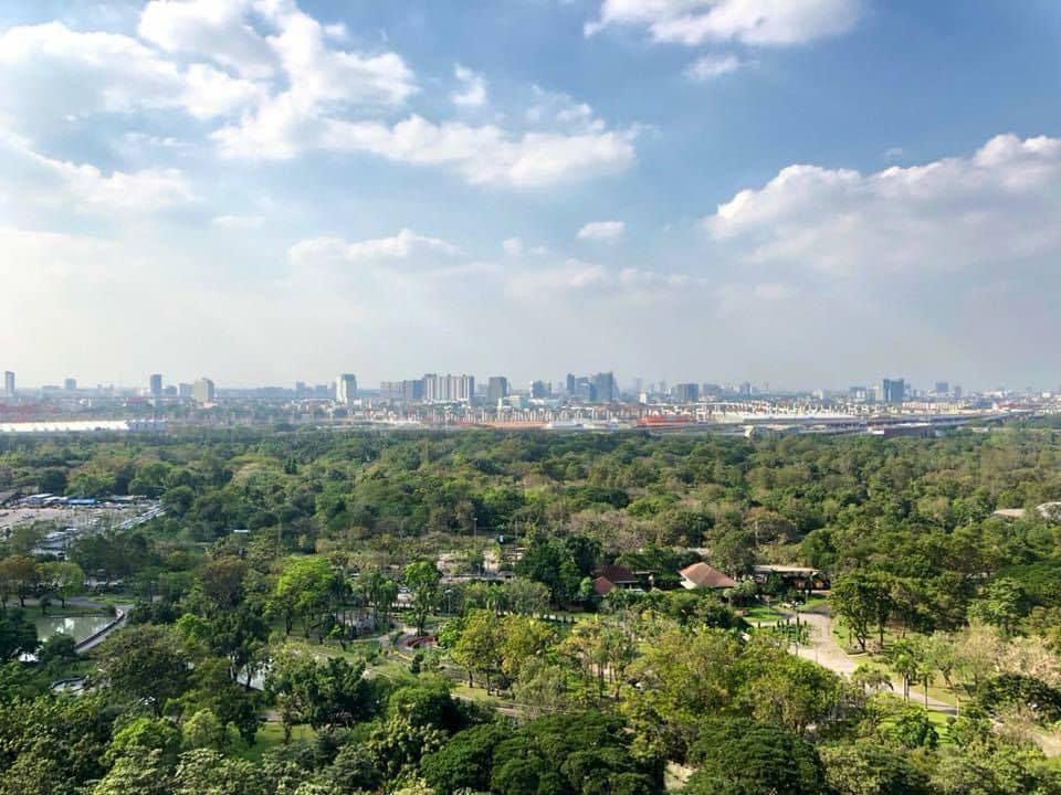 🌳ขาย/ ให้เช่า ห้องวิวสวนจตุจักร ร่มรื่น ตกแต่งสไตล์โมเดิร์น เฟอร์ครบ เพียงไม่กี่ก้าวถึง ฺBTS ใกล้เซนทรัลลาดพร้าว ตลาดนัดจตุจักร