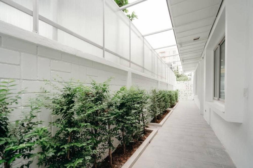 ขายทาวน์โฮม สุขุมวิท ใกล้ NIST ระยะเดินถึง 4 ห้องนอน 440 ตร.ม ใกล้ BTS อโศก ทำเล CBD
