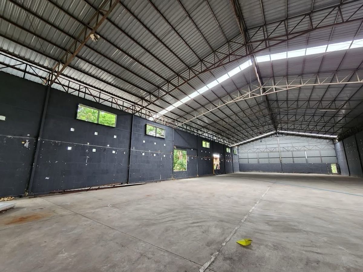 ขายโกดังพร้อมผู้เช่า อยุธยา ผังสีม่วง ใบ รง.4 ที่ดิน 10 ไร่ ใกล้มอเตอร์เวย์ ตลาดไท เหมาะลงทุนปล่อยเช่ารายได้ทันที