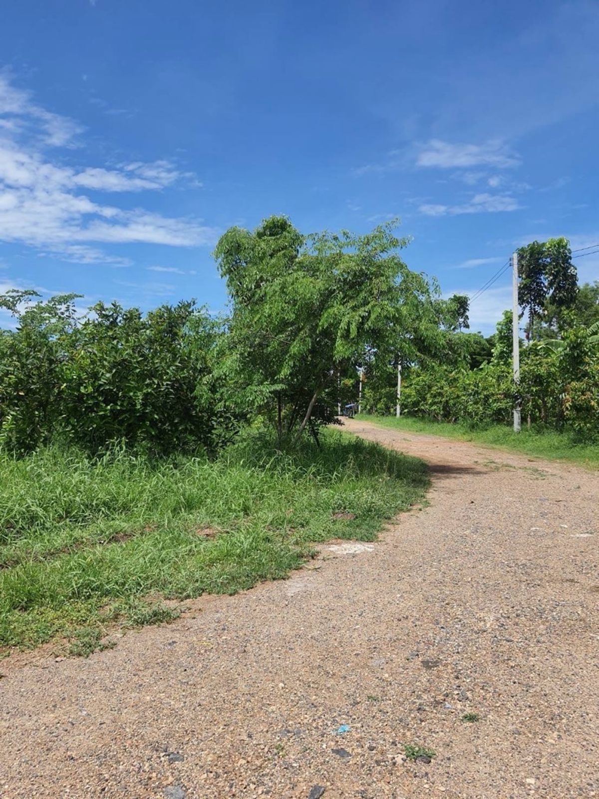ขายที่ดินริมน้ำเจ้าพระยา สามโคก ปทุมธานี ทำเลสงบ วิวแม่น้ำ เหมาะสร้างบ้านพักตากอากาศ รีสอร์ท และพัฒนาโครงการ