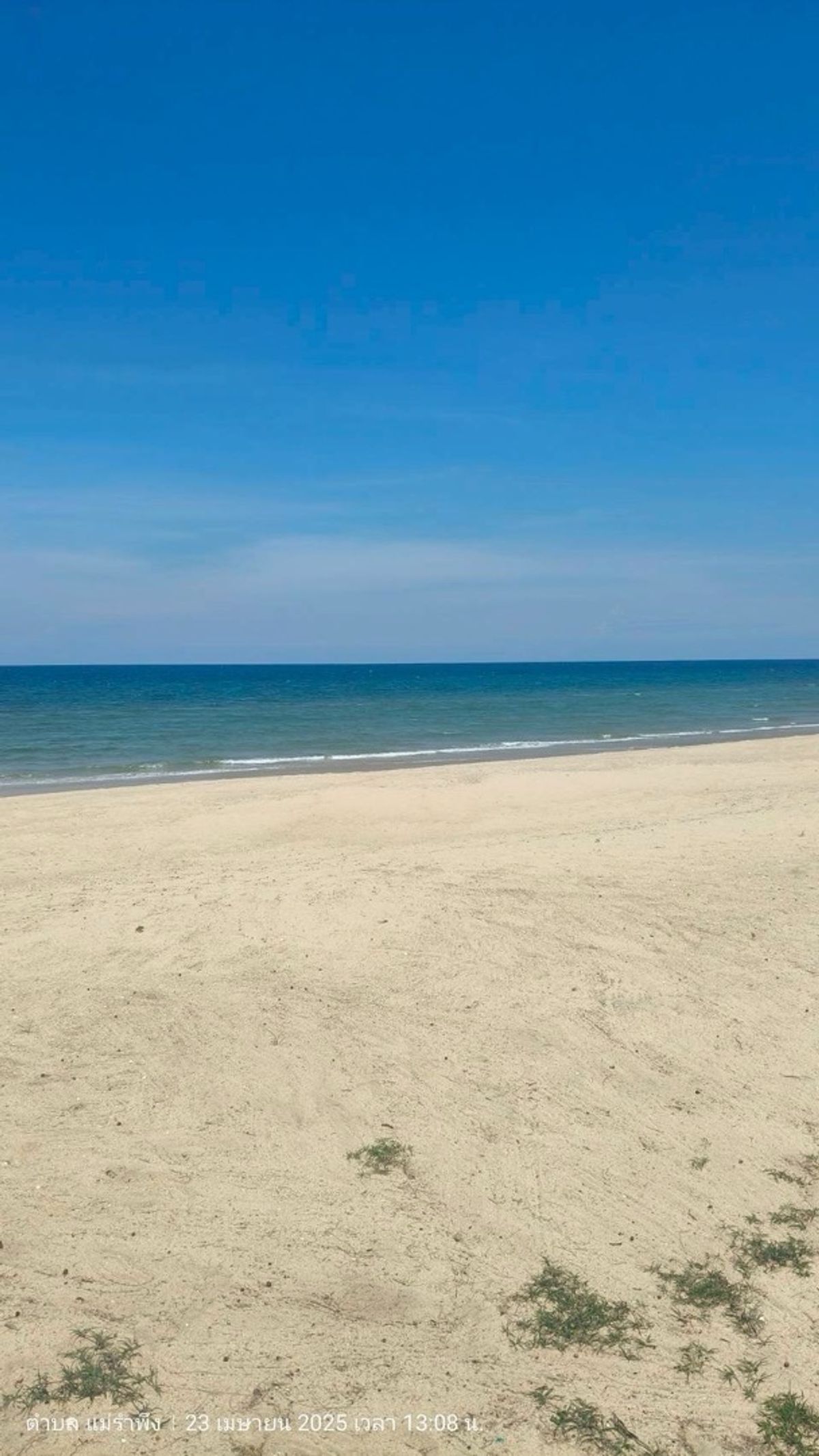 📢👇ขาย ที่ดิน ติดทะเล หาดสวย น้ำใส สงบเงียบ ราคาไม่แพง เหมาะที่จะทำบ้านพักตากอากาศ หรือ รีสอร์ต